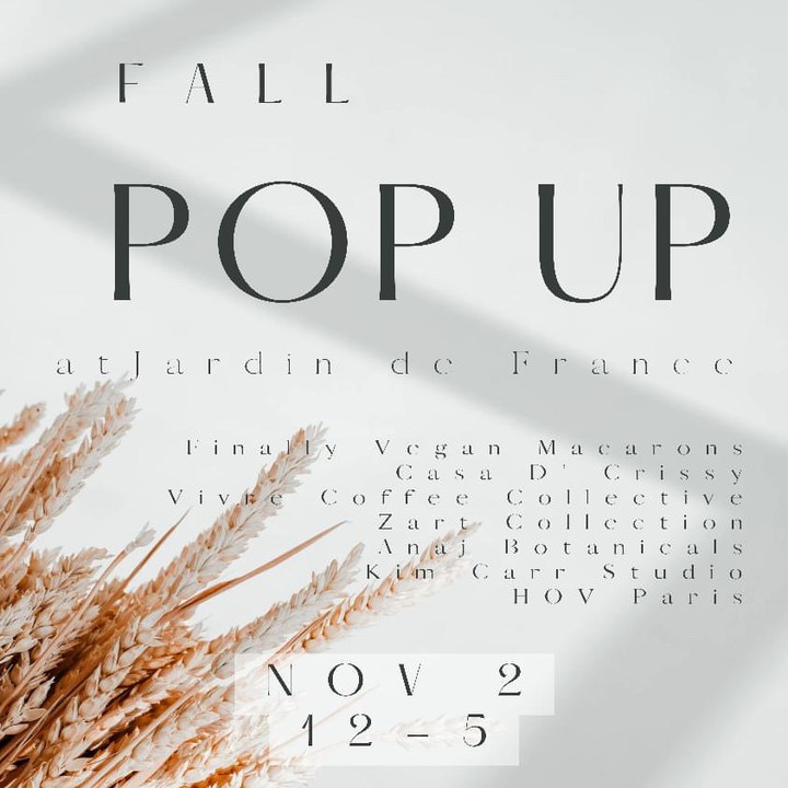 11-2 Fall Popup Graphic